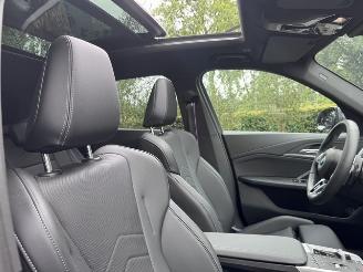 BMW X1 X1 sDrive 18 i M Sport PANORAMA Camera Ambiance VOL!! picture 24
