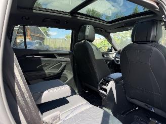 Volkswagen Tayron Volkswagen Tayron 1.5 TSI eHybrid 200 kW 2x R-Line PANO HUD picture 14