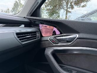 Audi E-tron E-tron 55 Quattro S-Line Virtual Mirrors Trekhaak Camera Leer  VOL picture 6