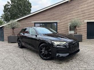 Audi E-tron E-tron 55 Quattro S-Line Virtual Mirrors Trekhaak Camera Leer  VOL picture 11