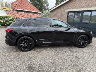 Audi E-tron E-tron 55 Quattro S-Line Virtual Mirrors Trekhaak Camera Leer  VOL picture 18