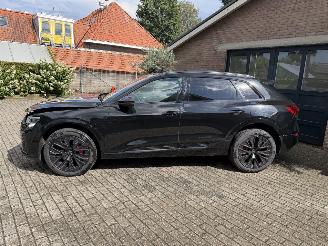 Audi Q8 Q8 e-tron 55 Quattro S line PANORAMADAK HUD VOLL picture 24