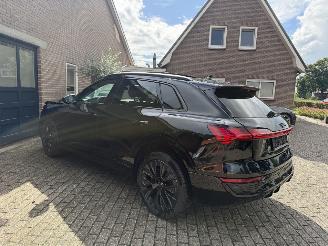 Audi Q8 Q8 e-tron 55 Quattro S line PANORAMADAK HUD VOLL picture 17