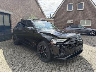 Audi Q8 Q8 e-tron 55 Quattro S line PANORAMADAK HUD VOLL picture 27