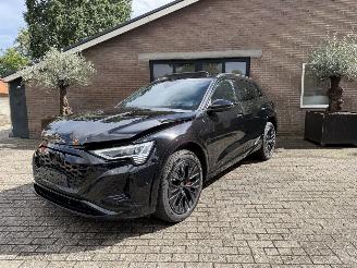 Audi Q8 Q8 e-tron 55 Quattro S line PANORAMADAK HUD VOLL picture 25