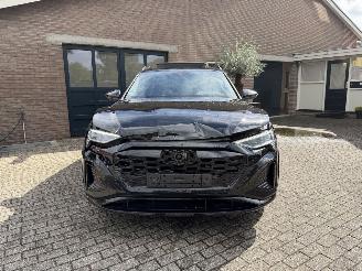 Audi Q8 Q8 e-tron 55 Quattro S line PANORAMADAK HUD VOLL picture 26