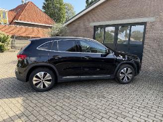 Mercedes EQA EQA 250+ AMG Camera Ambiance Leder VOL picture 10