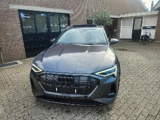 Audi E-tron AUDI E-tron S Quattro PANORAMA Sport Sitze Leder VOL picture 6