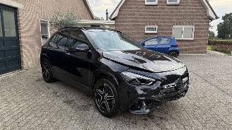 Mercedes GLA GLA 250e AMG PANORAMADAK HUD Burmeister 360view picture 21
