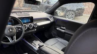 Mercedes EQB EQB 300+ 4Matic 7 Sitzer Ambiance Leder Camera picture 20