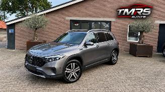 Unfallwagen Mercedes EQB EQB 300+ 4Matic 7 Sitzer Ambiance Leder Camera 2022/4