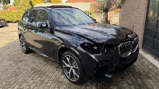 BMW X5 X5 xDrive 45 e M Sport PANORAMA Trekhaak HUD 360View picture 10