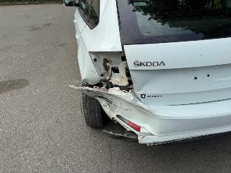 Skoda Rapid  picture 4