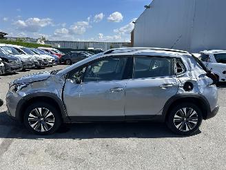 Peugeot 2008  picture 22
