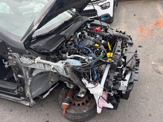 Renault Clio  picture 13