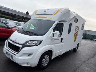 Unfall Kfz Van Peugeot Boxer THEAULT PROTEO 5 SEATS 2015/6