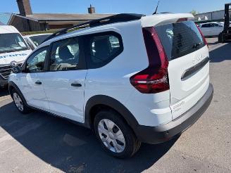 Auto incidentate Dacia Jogger  2023/1