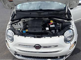 Fiat 500  picture 9