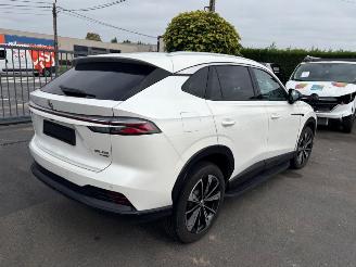 krockskadad bil auto MG EHS  2025/10