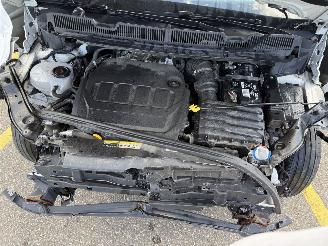 Volkswagen Caddy maxi 2.0 TDI picture 9