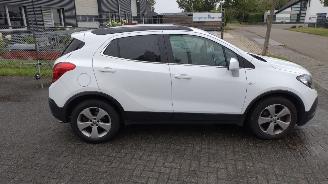 Opel Mokka 1.4 Turbo|innovation|leer|panodak|stoelverw|mooie|auto|schroefschade picture 9