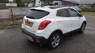 Opel Mokka 1.4 Turbo|innovation|leer|panodak|stoelverw|mooie|auto|schroefschade picture 8