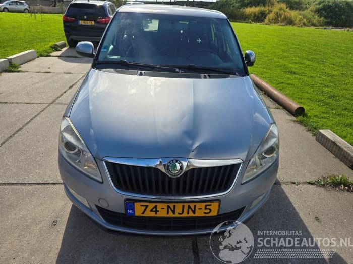 Skoda Fabia Fabia II Combi, Combi 5-drs, 2007 / 2014 1.2 TDI 12V Greenline