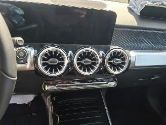 Mercedes GLB 250 Turbo 16V 4-Matic SUV picture 10