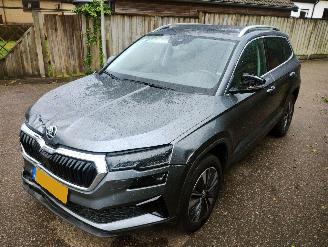 Unfallwagen Skoda Karoq 1.5 TSI ACT Business Edition Plus 2023/3