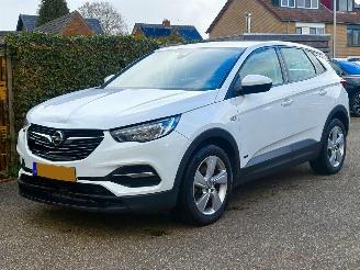 Unfallwagen Opel Grandland 1.6 TURBO PLUG IN HYBRID AUTOMAAT 222PK 2021/4