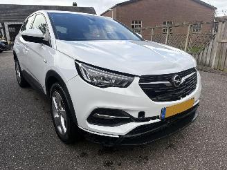 Opel Grandland 1.6 TURBO PLUG IN HYBRID AUTOMAAT 222PK picture 5