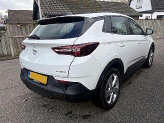 Opel Grandland 1.6 TURBO PLUG IN HYBRID AUTOMAAT 222PK picture 2