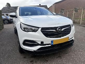 Opel Grandland 1.6 TURBO PLUG IN HYBRID AUTOMAAT 222PK picture 7