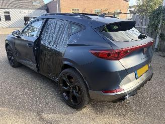 Cupra Formentor 2.0 TSI 310 PK 4x4 AUTOMAAT NAP picture 7