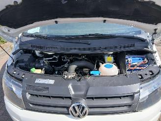 Volkswagen Transporter  picture 11