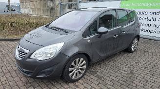 Opel Meriva 1.4 Turbo 16V LPG ecoFLEX MPV   1.364cc 88kW (120pk) FWD 2011-06/2013-10  A14NEL picture 7