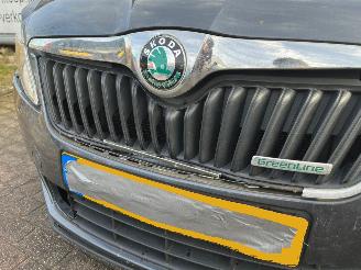 Skoda Fabia 1.2 TDI 12V Greenline Combi/o 4Dr Diesel 1.199cc 55kW (75pk) FWD 2010-05/2014-12  CFWA picture 25