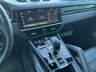 Porsche Cayenne 3.0 E-Hybrid Platinum Edition picture 11