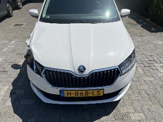 Skoda Fabia Combi 1.0 TSI Bus. Edition picture 8