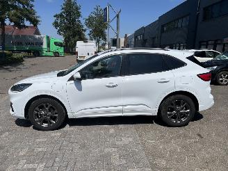 Ford Kuga 2.5 PHEV ST-Line picture 2