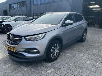 damaged passenger cars Opel Grandland X 1.2 Turbo Edition 2019/7