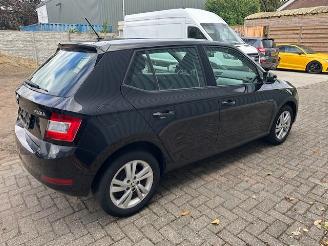Skoda Fabia  picture 9