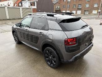 Citroën C4 cactus AUTO picture 4