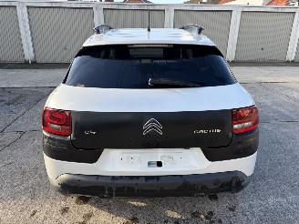 Citroën C4 cactus  picture 21