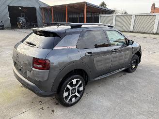 Citroën C4 cactus AUTOMATIC picture 5