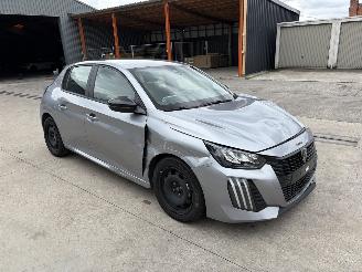 Peugeot 208  picture 1