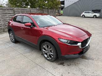  Mazda CX-30 1 2.0i - 16V TURBO HYBRID 2019/12