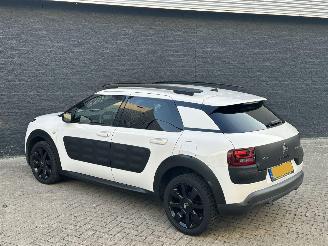 Citroën C4 cactus 1.2 e-VTi Shine picture 5