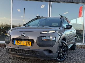 Citroën C4 cactus 1.2 PureTech NAP picture 9