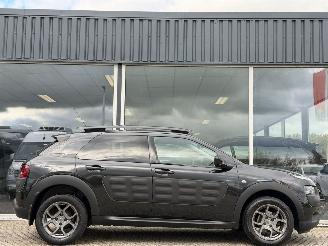 Citroën C4 cactus 1.2 PureTech Shine picture 3